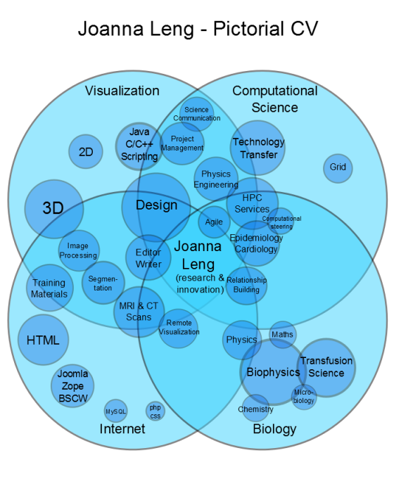 Joanna Leng's CV as a pictogram.