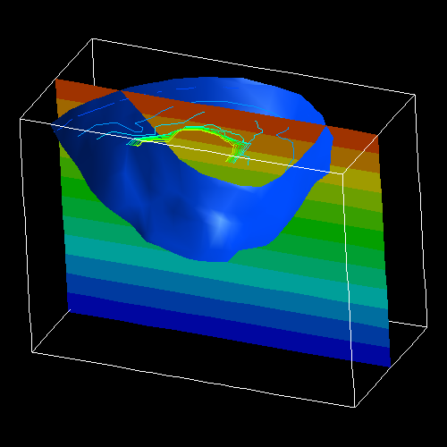 Visualizations of simulated fossilised dinosaur foot prints; an isosurface shows the extents of the pressure bulb and isolines give possible outlines for the foot print.